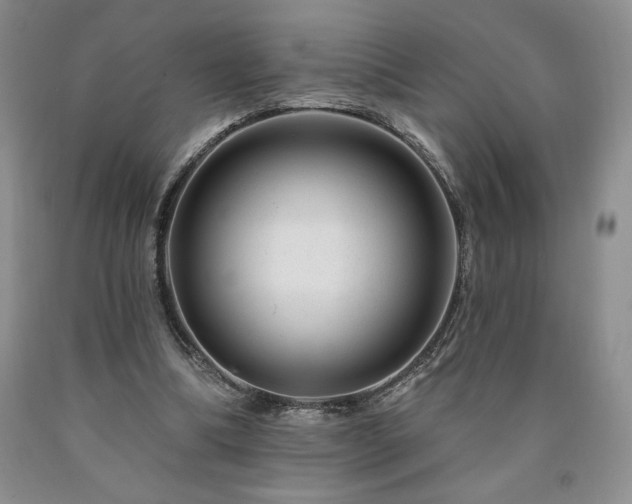 X0000090870298200707271256