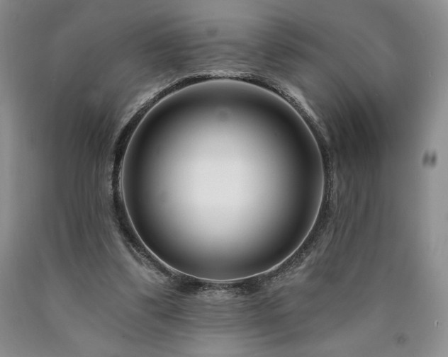 X0000090870299200707271256