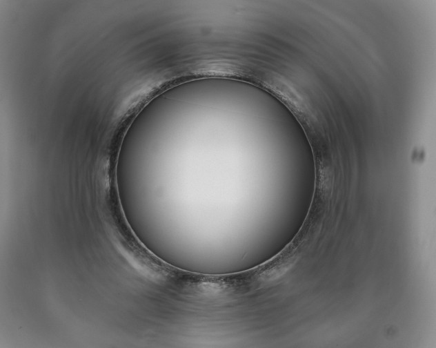 X0000090870302200707271256