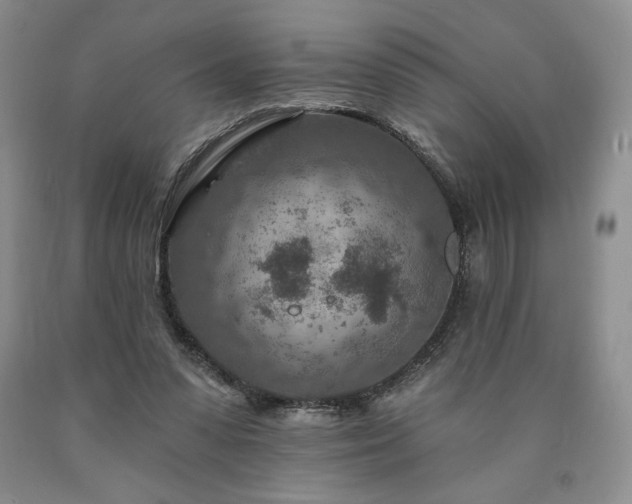 X0000090870303200707271256