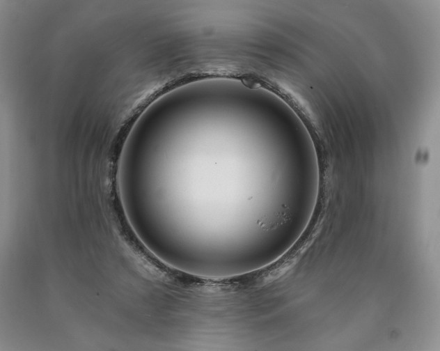 X0000090870305200707271256