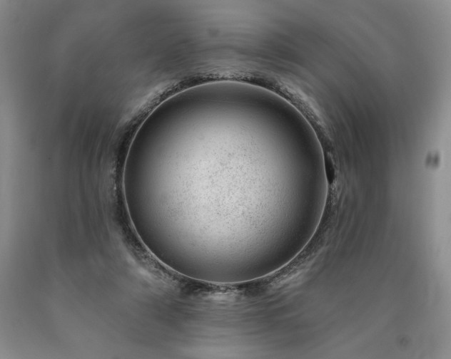 X0000090870306200707271256