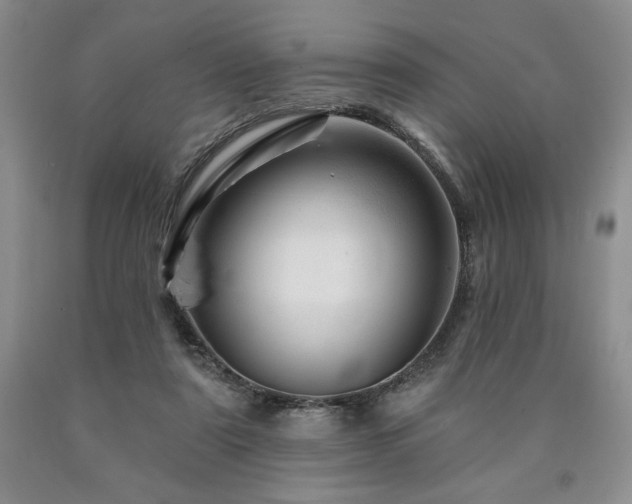 X0000090870307200707271256