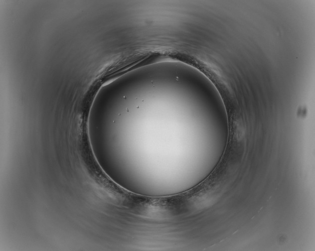 X0000090870308200707271256