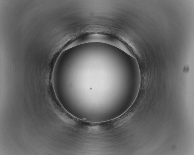 X0000090870309200707271256