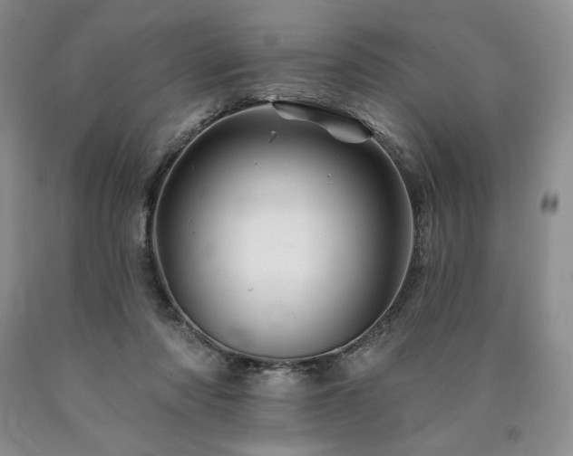 X0000090870310200707271256