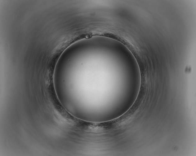 X0000090870311200707271256