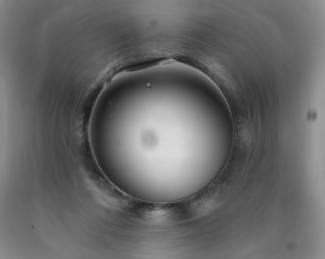 X0000090870312200707271256