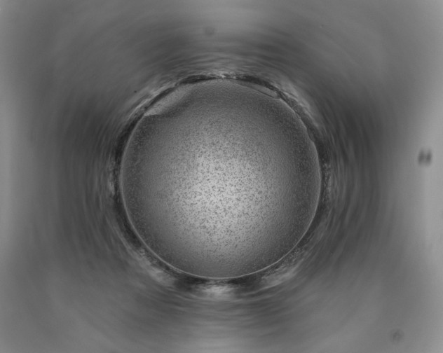 X0000090870313200707271256