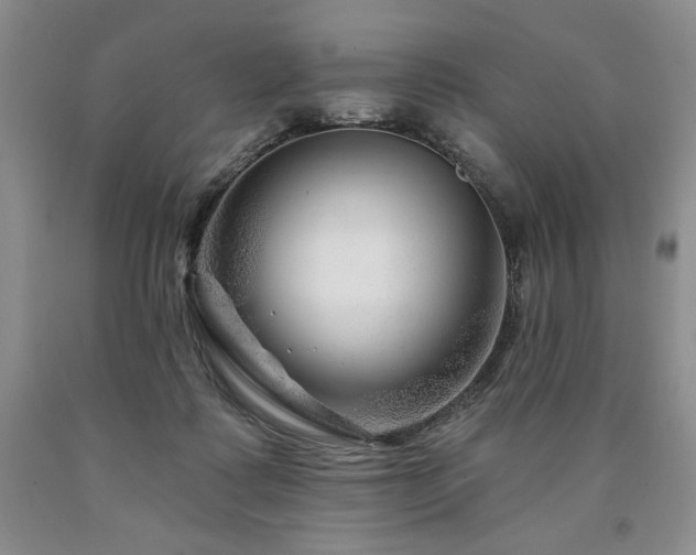 X0000090870315200707271256