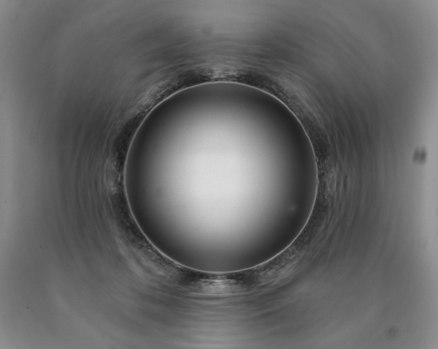 X0000090870316200707271256