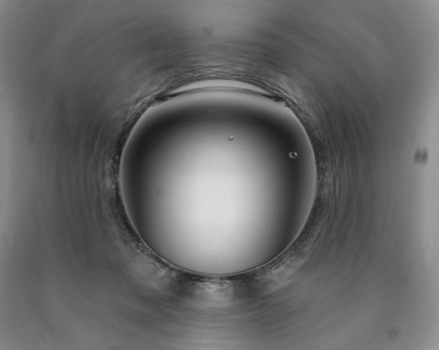 X0000090870317200707271256