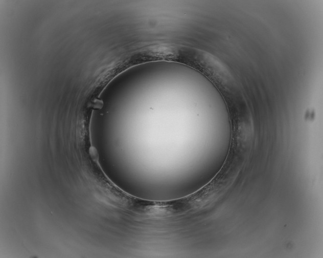 X0000090870320200707271256