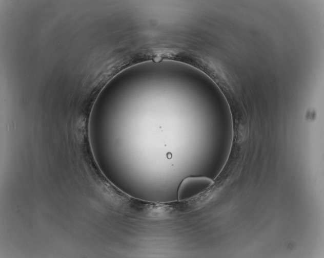 X0000090870321200707271256