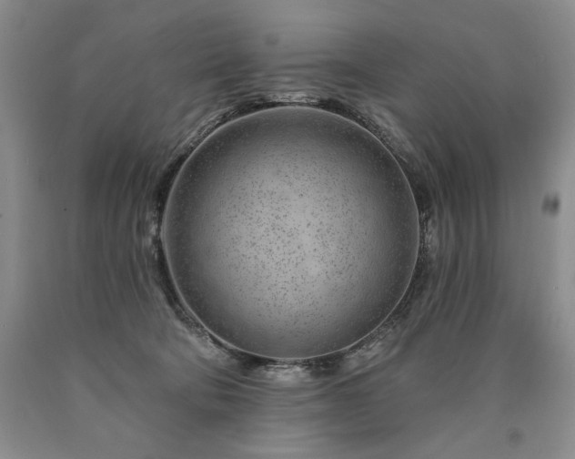 X0000090870322200707271256