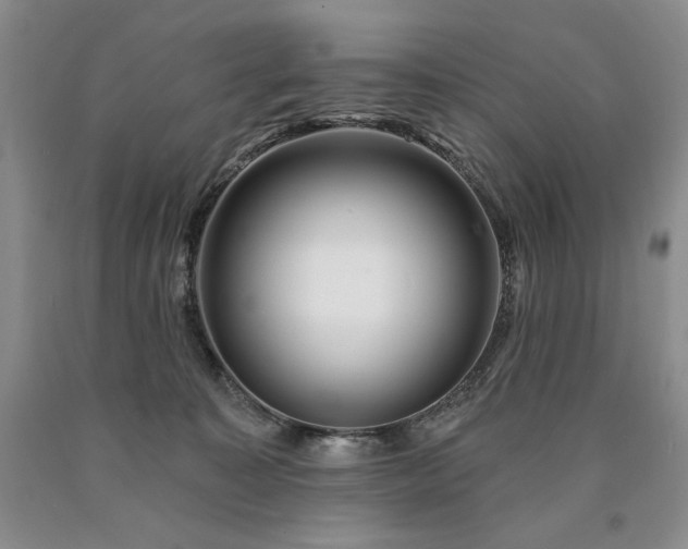 X0000090870323200707271256