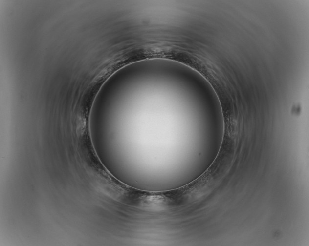 X0000090870324200707271256