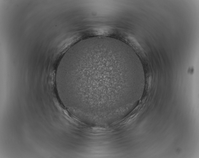 X0000090870325200707271256