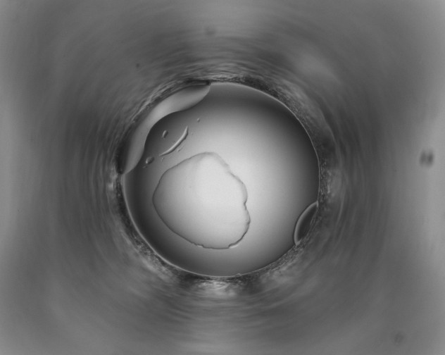 X0000090870326200707271256