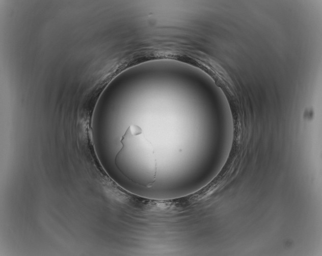 X0000090870329200707271256