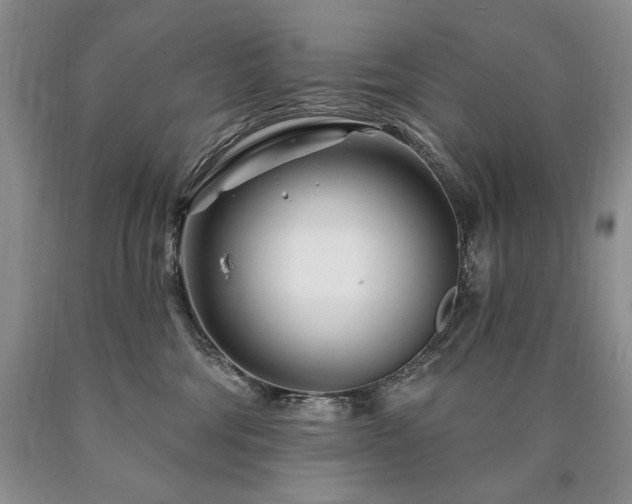 X0000090870330200707271256