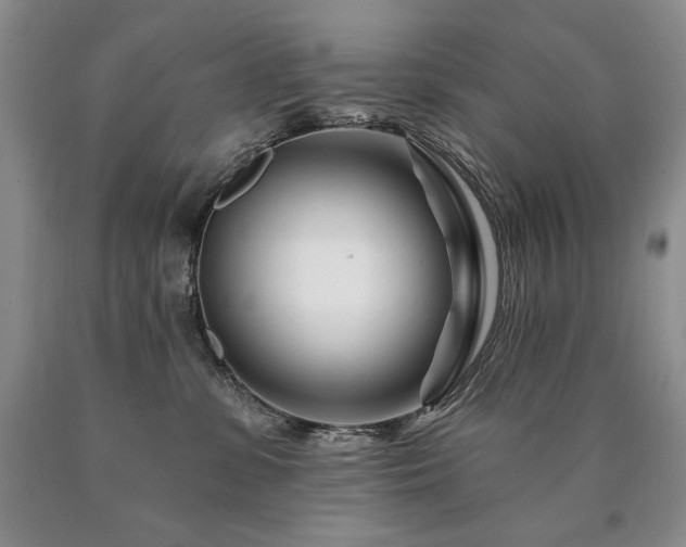 X0000090870331200707271256