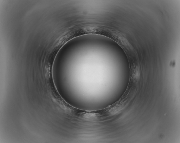 X0000090870332200707271256