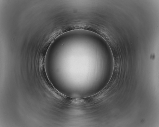 X0000090870334200707271256