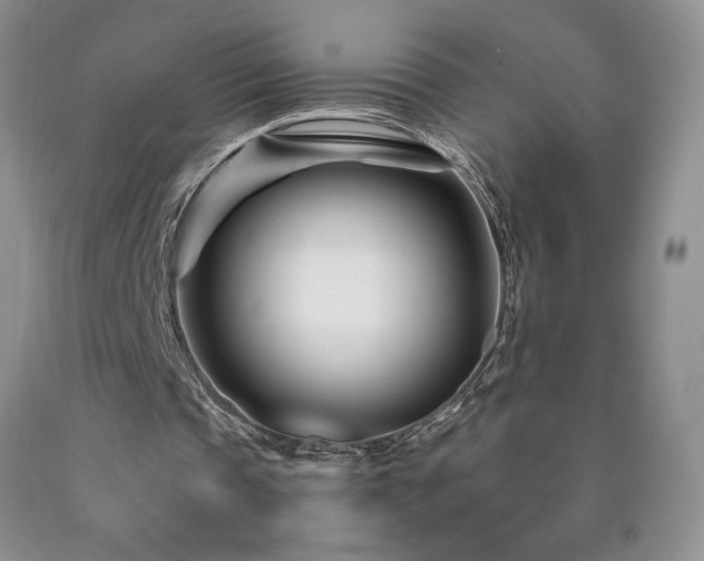 X0000090870337200707271255