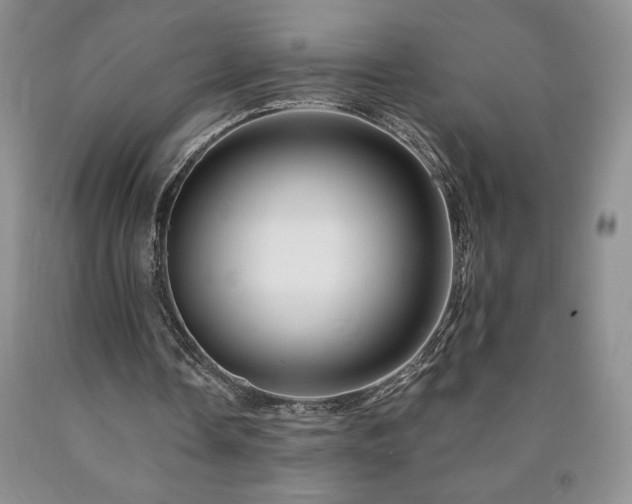 X0000090870338200707271255