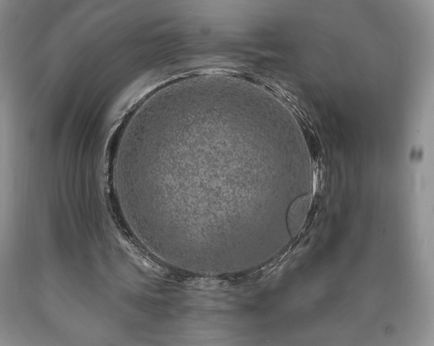 X0000090870339200707271255