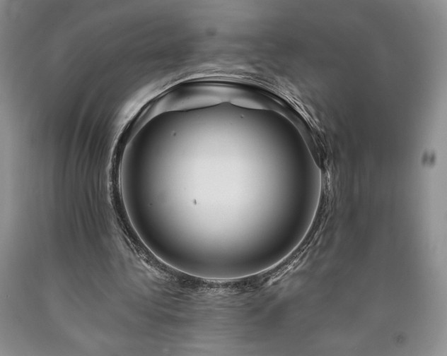 X0000090870340200707271255