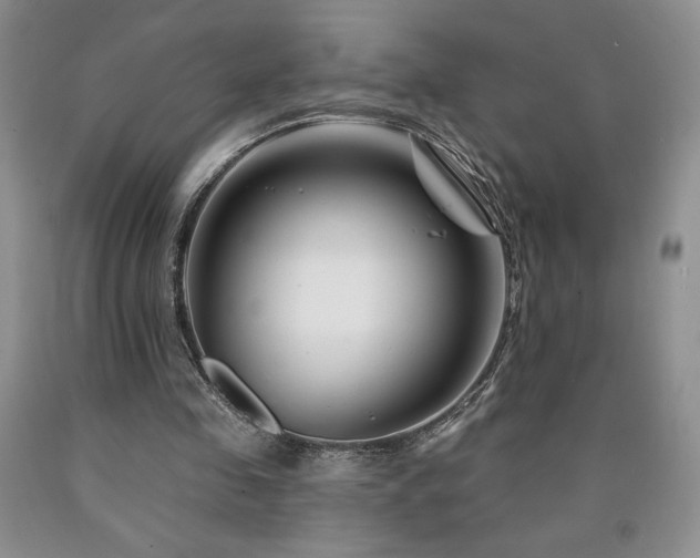 X0000090870341200707271255