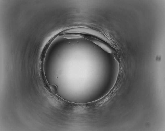 X0000090870342200707271255