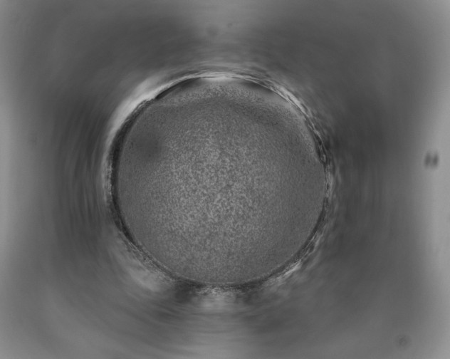 X0000090870343200707271255