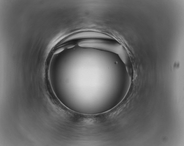 X0000090870344200707271255