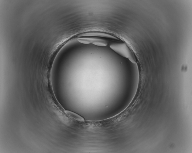 X0000090870345200707271255