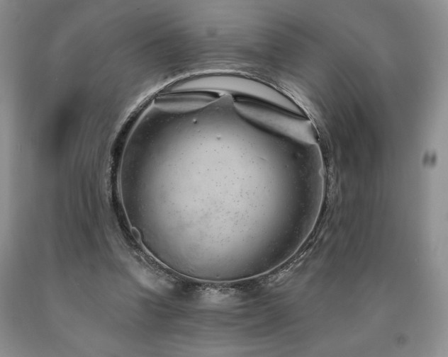 X0000090870346200707271255