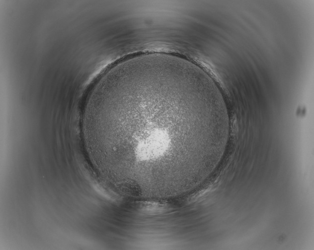 X0000090870347200707271255