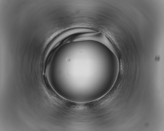 X0000090870348200707271255