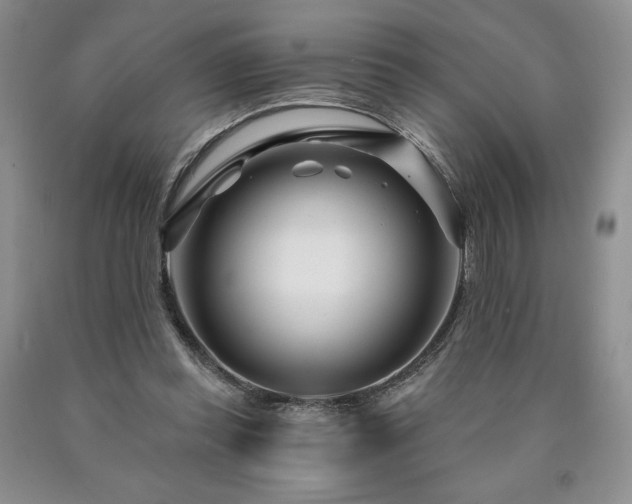 X0000090870349200707271255