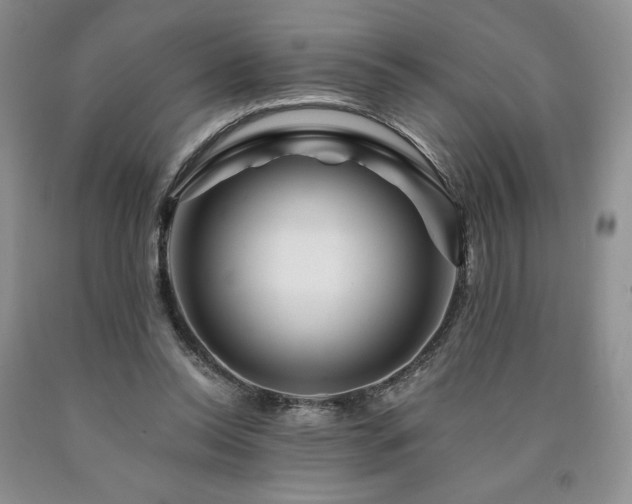 X0000090870350200707271255