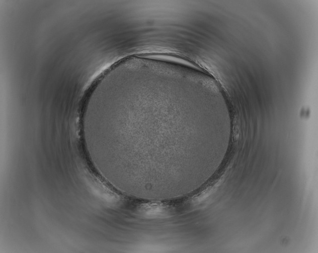 X0000090870351200707271255