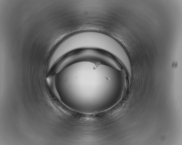 X0000090870352200707271255