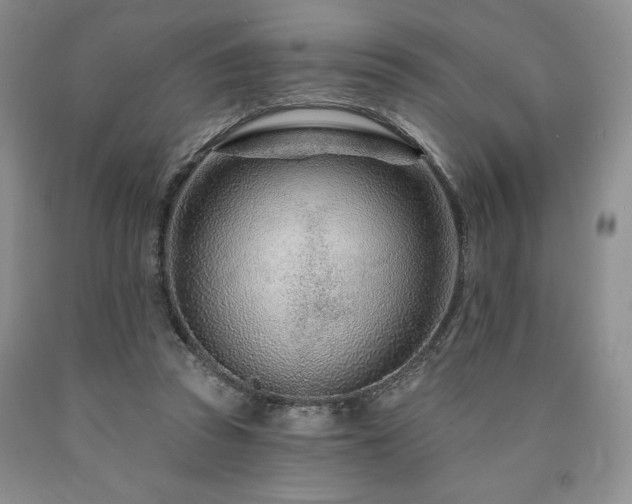 X0000090870353200707271255