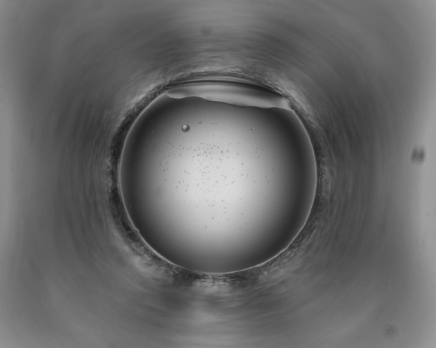 X0000090870354200707271255