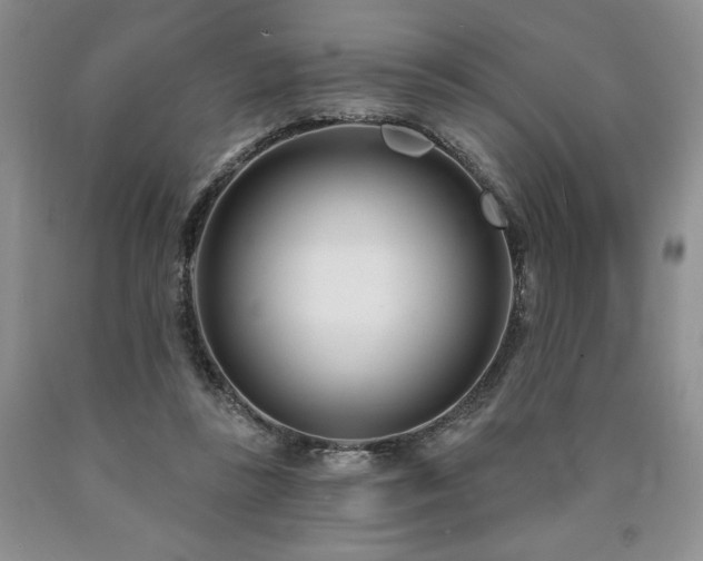 X0000090870355200707271255