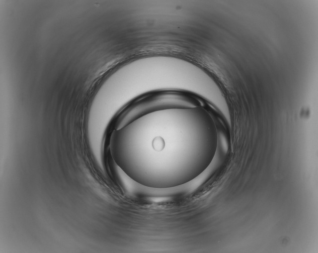 X0000090870356200707271255