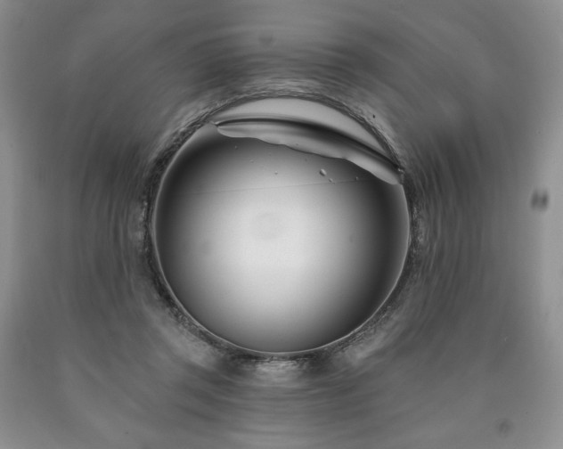 X0000090870357200707271255