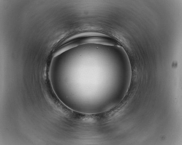 X0000090870358200707271255